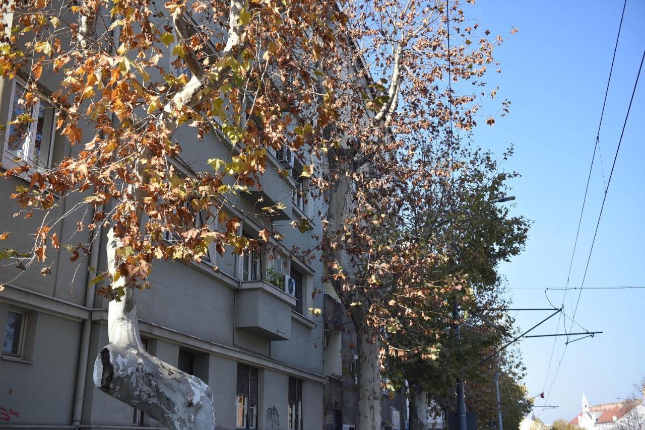 Friendly Home Apartment Belgrado Esterno foto