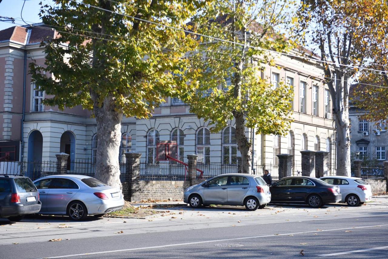 Friendly Home Apartment Belgrado Esterno foto